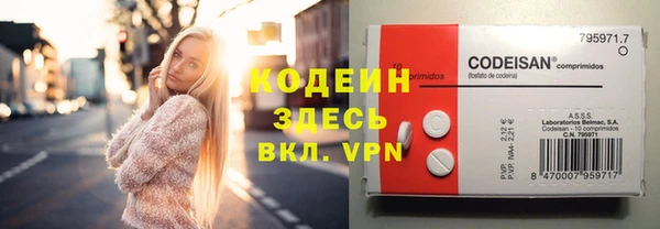 сатива Армянск