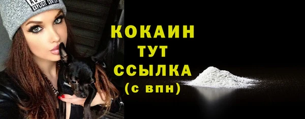 сатива Армянск