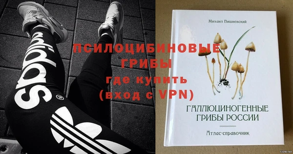 сатива Армянск